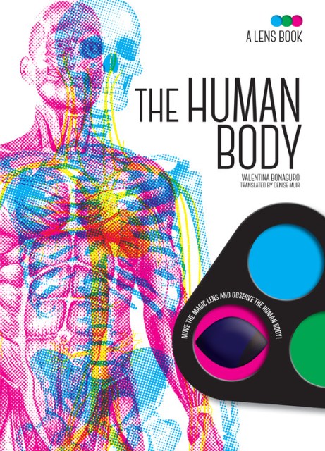 The Human Body