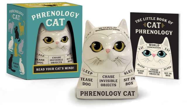 Phrenology Cat