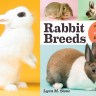 Rabbit Breeds