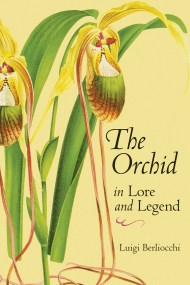 The Orchid in Lore and Legend