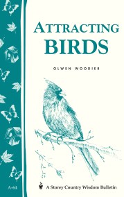 Attracting Birds