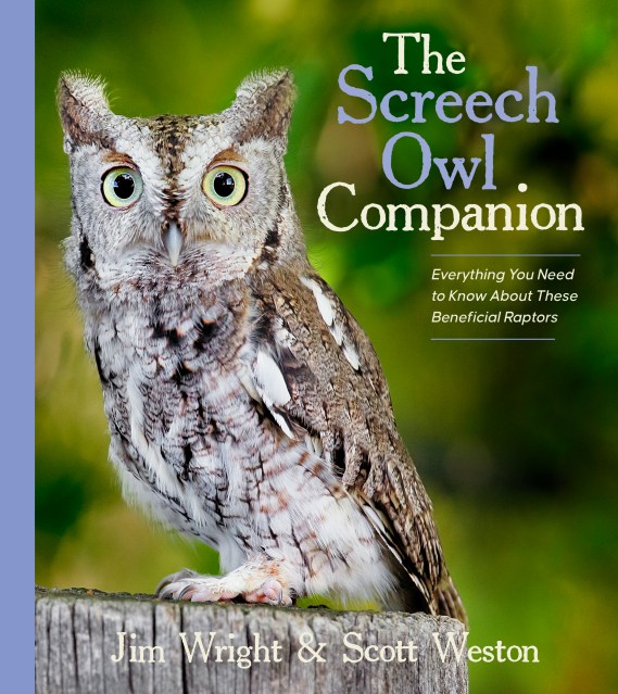 The Screech Owl Companion