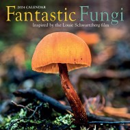 Fantastic Fungi Wall Calendar 2024