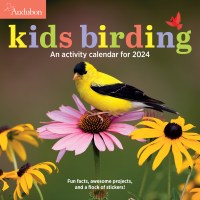 Audubon Kids Birding Wall Calendar 2024