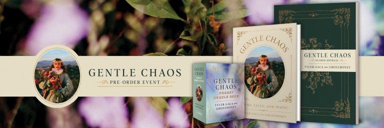 Gentle Chaos Pre-Order Offer