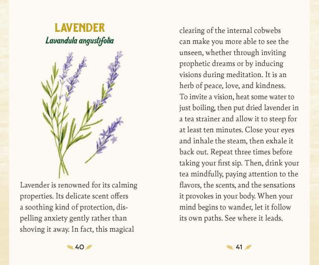 The guidebook entry for Lavender from “Forest Magic Oracle”