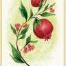 The Pomegranate card from “Forest Magic Oracle”