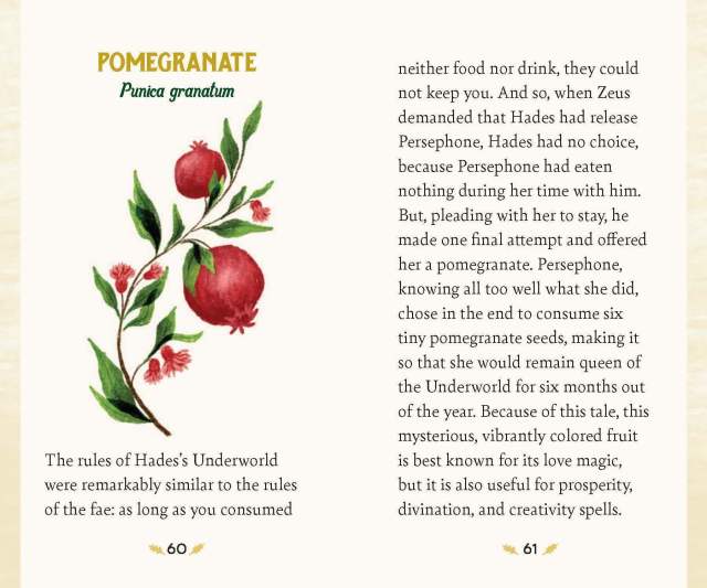 The guidebook entry for Pomegranate from “Forest Magic Oracle”