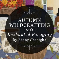 Featured image for RP Mystic blog post "Autumn Wildcrafting with Enchanted Foraging by Ebony Gheorghe"