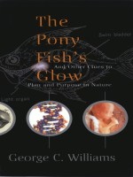 The Pony Fish’s Glow