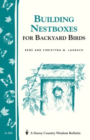 Building Nest Boxes for Backyard Birds