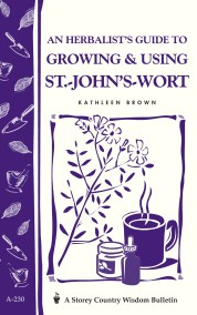 An Herbalist's Guide to Growing & Using St.-John's-Wort