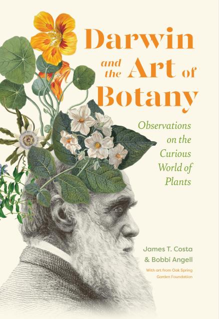 Darwin and the Art of Botany