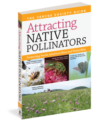 Attracting Native Pollinators