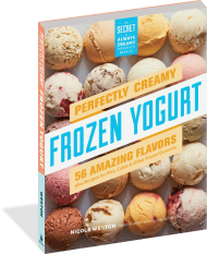 Perfectly Creamy Frozen Yogurt