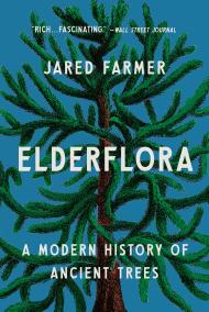 Elderflora