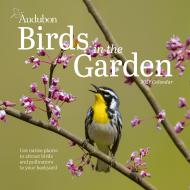 Audubon Birds in the Garden Wall Calendar 2027