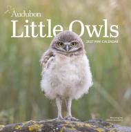 Audubon Little Owls Mini Wall Calendar 2027