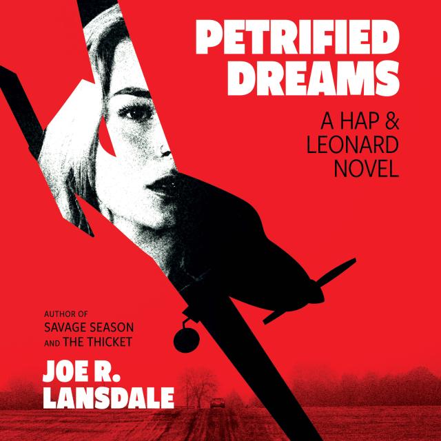 Petrified Dreams