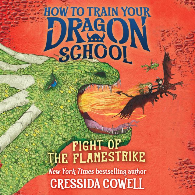 How to Train Your Dragon School: Fight of the Flamestrike