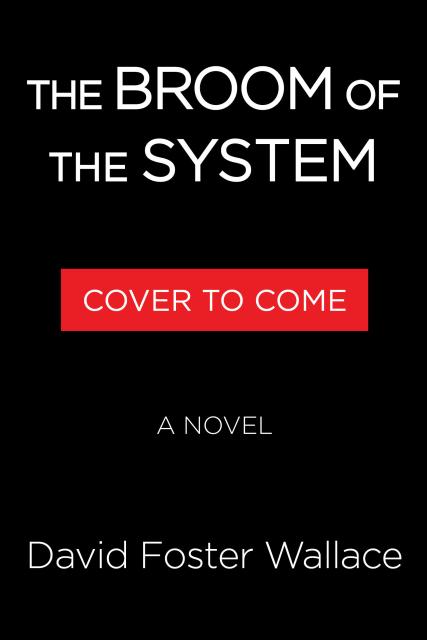 The Broom of the System