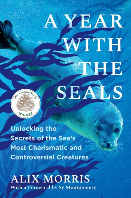 A Year with the Seals