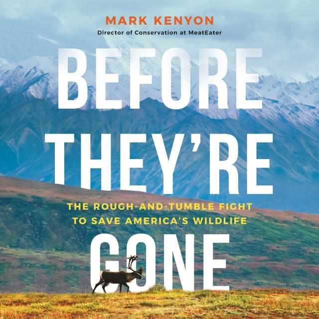 Before They’re Gone